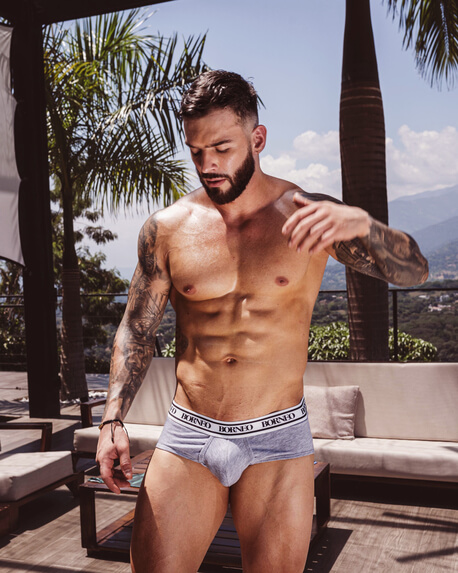 Briefs